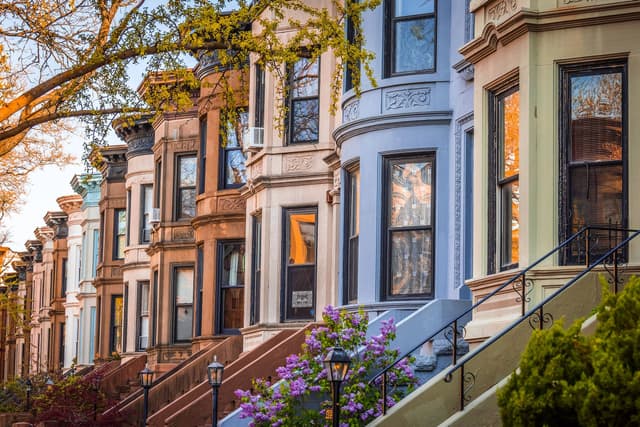 A row of row houses on a street in brooklyn.