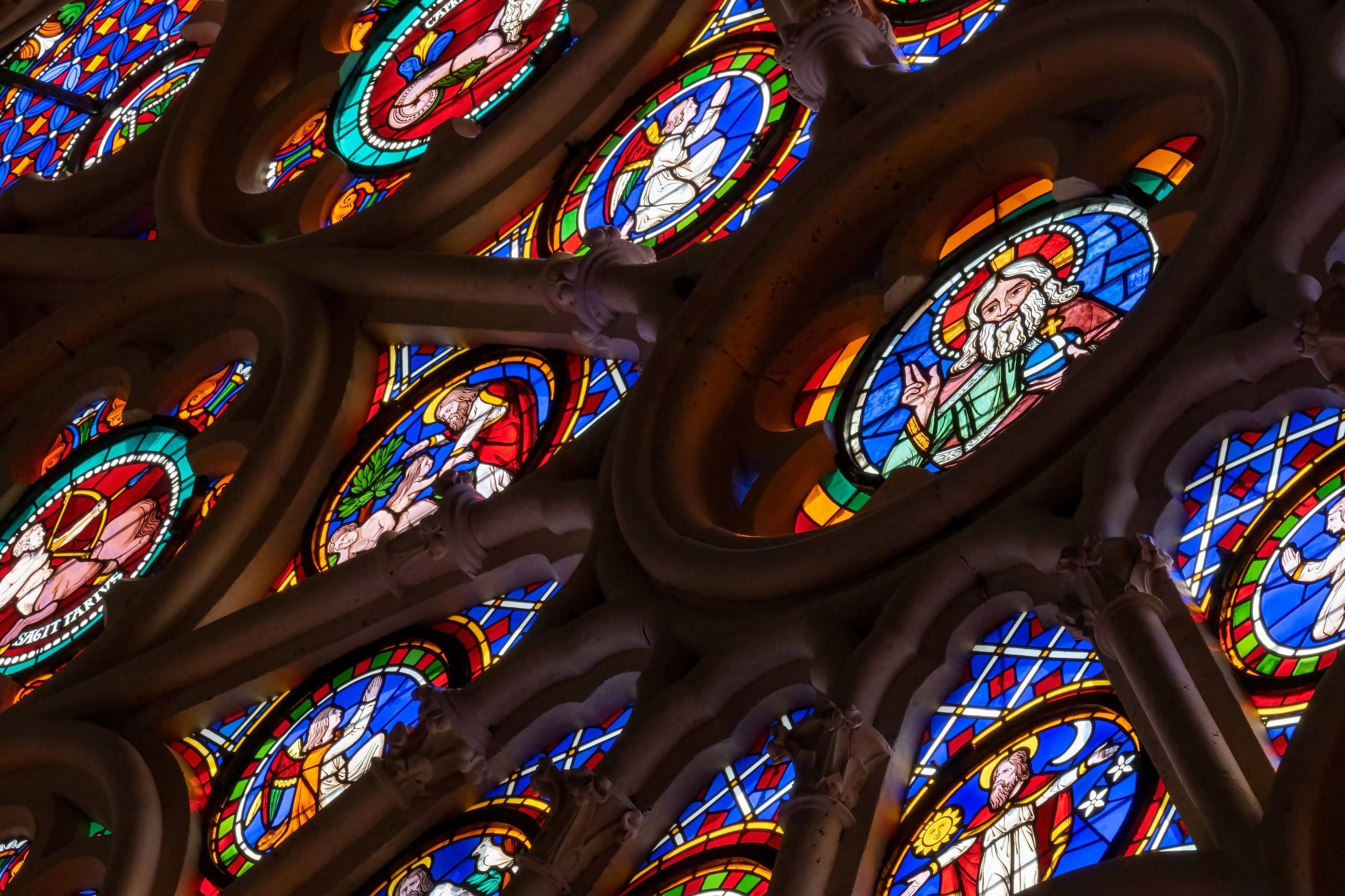 Stained glass window of notre dame cathedral, paris, france.