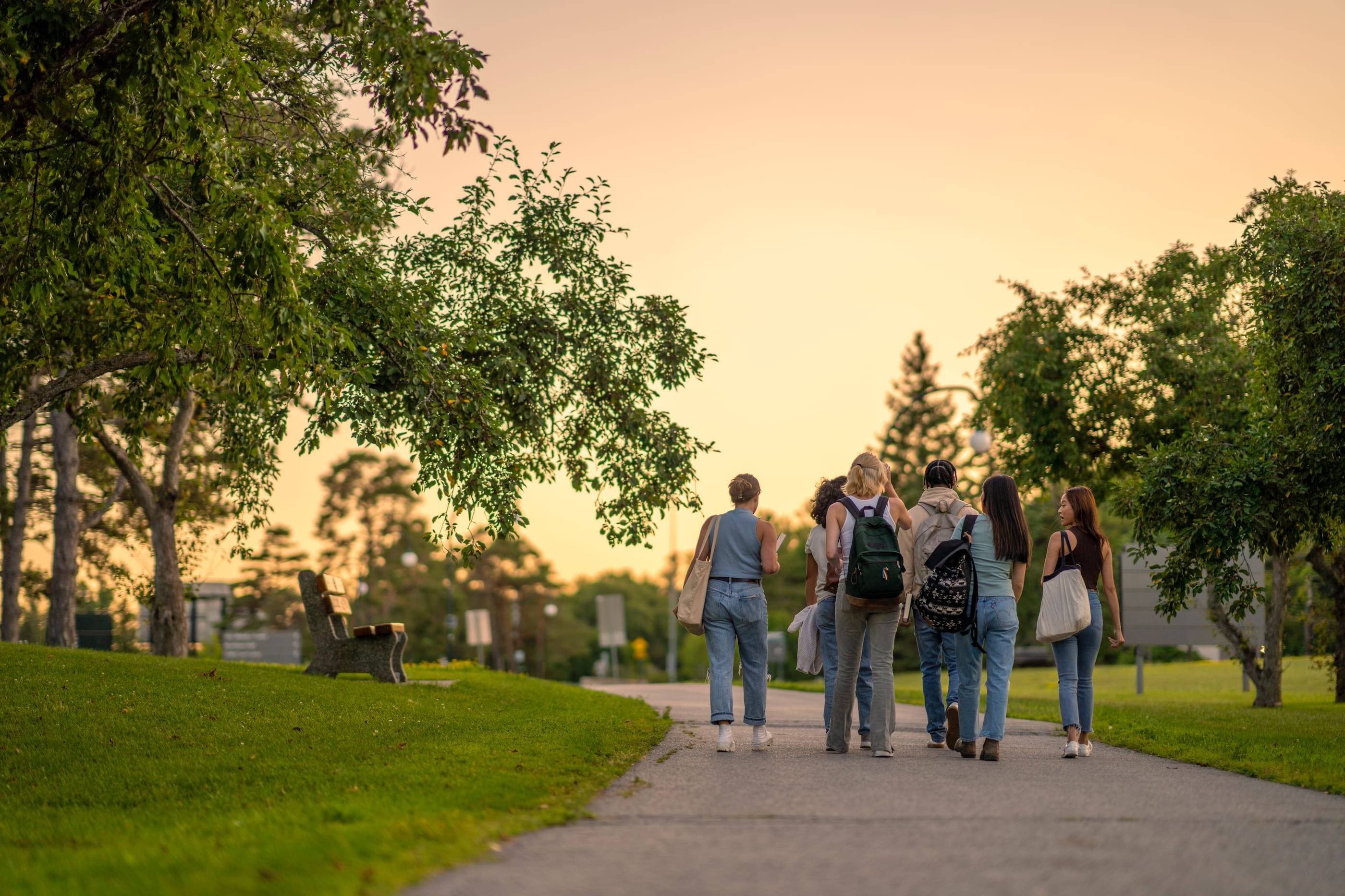 A group of students walking down a path at sunset.